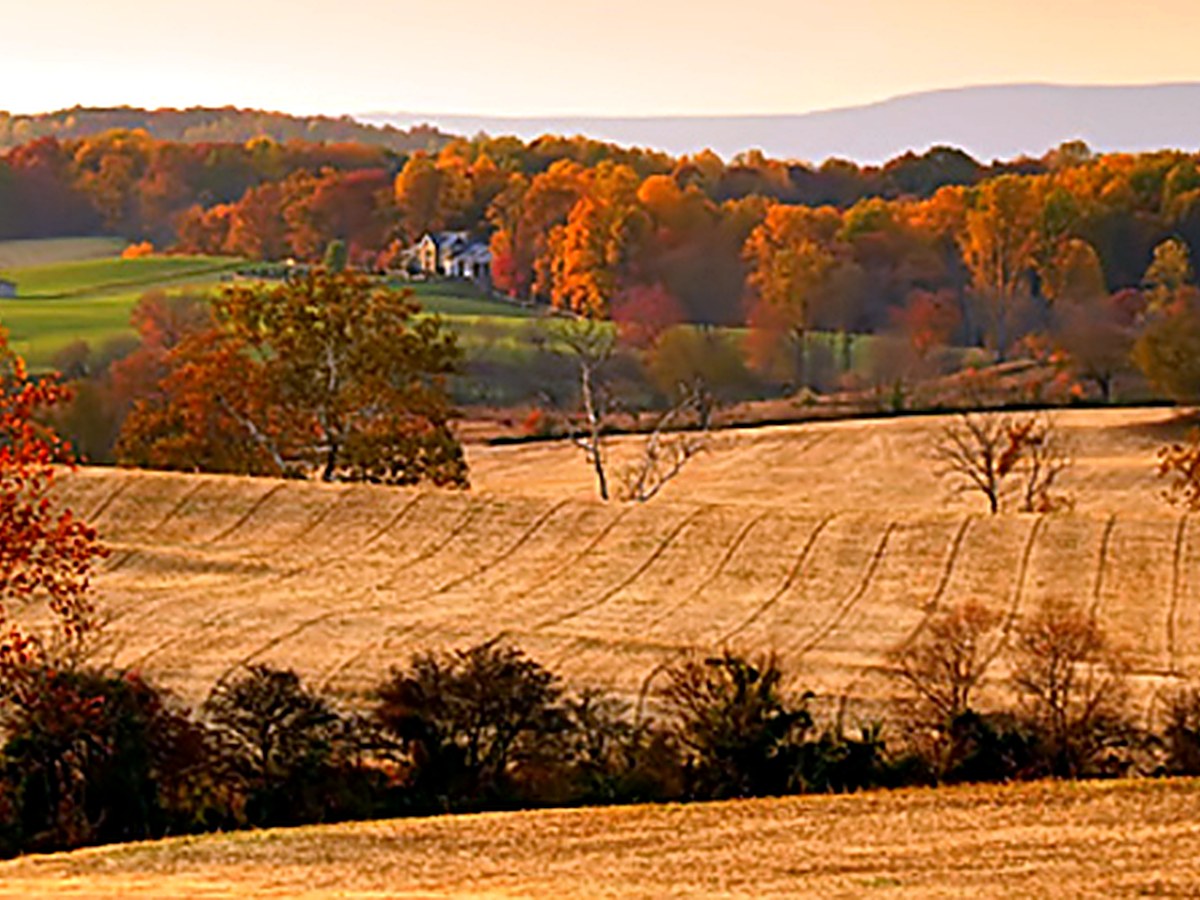 Rolling Shenandoah Valley farmland at harvest